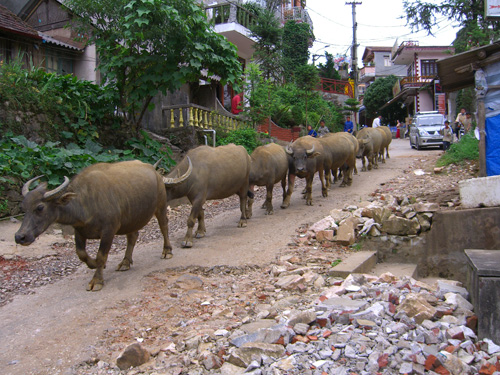 vietnam, juli 06, 2 400