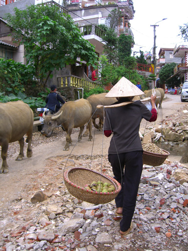 vietnam, juli 06, 2 401