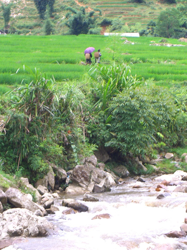 vietnam, juli 06, 2 409